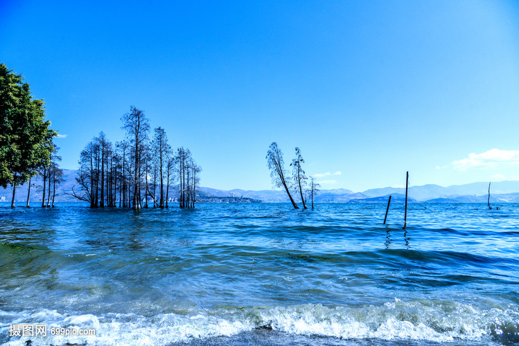 上海汽车南站到湖州的汽车时刻表是怎样的？最